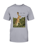 Jack Rabbit