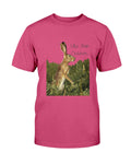 Jack Rabbit