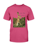 Jack Rabbit