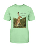 Jack Rabbit