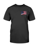 Eagle With American Flag