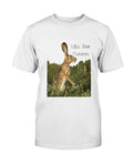 Jack Rabbit