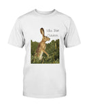 Jack Rabbit