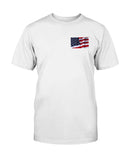 Eagle With American Flag