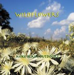 Wildflowers Digital Download